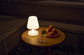 Edison the Petit giving light in the dark