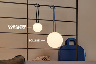 Bolleke VS Bolleke la Surprise