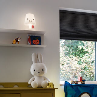 Flying Carpet x Miffy