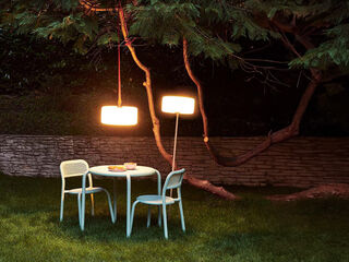 Thierry Le Swinger in a garden