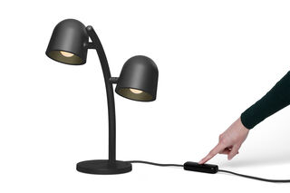 Little Lebow Anthracite