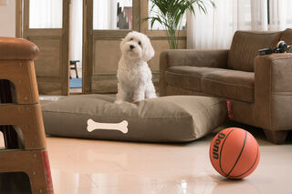 Doggielounge L Canvas Recycled Taupe Grey