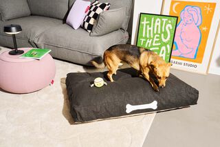 Doggielounge Large Outdoor Mist