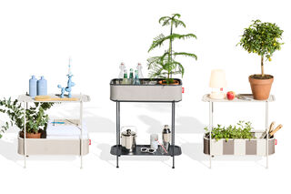 Adoreganizer Wolf Grey