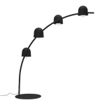 Big Lebow Anthracite