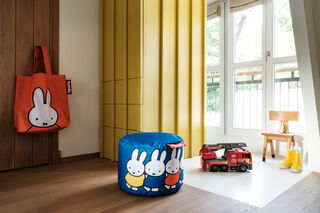 Point X Miffy Blue