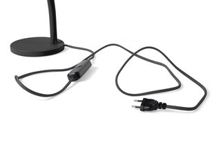 Little Lebow Anthracite