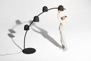 Big Lebow Anthracite