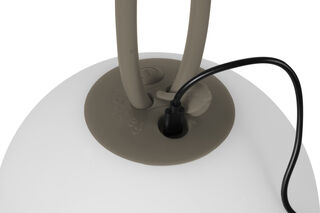 Bolleke Taupe (TEST US)