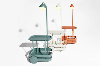 Jolly Trolley Bone