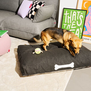 Doggielounge Olefin Large