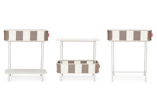 Adoreganizer Stripe Cacao