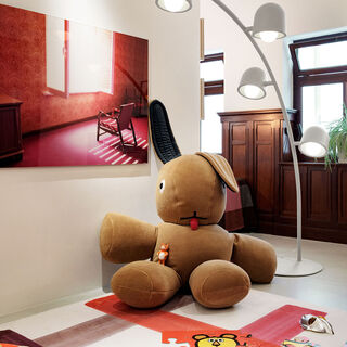 Co9 Xs Teddy