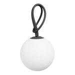 Bolleke Anthracite