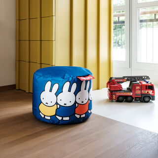 Point X Miffy Blue