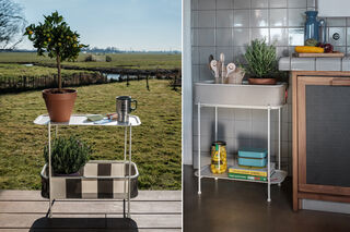 Adoreganizer Wolf Grey