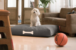 Doggielounge L Canvas Charcoal Grey