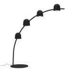Big Lebow Anthracite