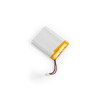 Edison the Petit/Transloetje battery repair kit
