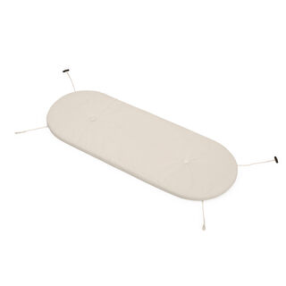 Toní Bankski Pillow