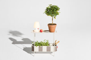 Adoreganizer Stripe Cacao