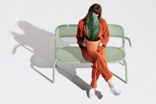 Toní Bankski Mist Green