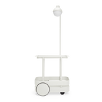 Jolly Trolley Bone
