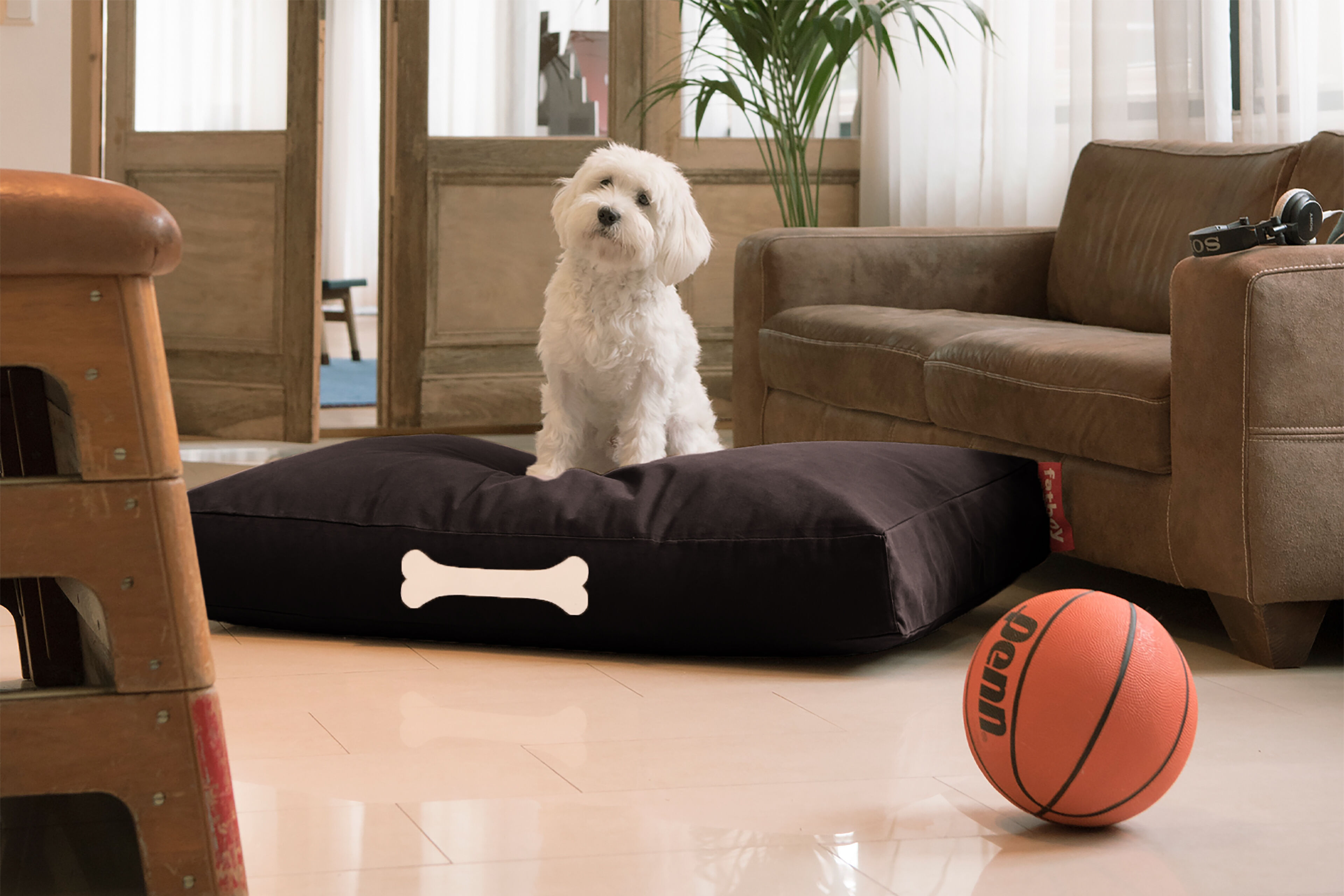 Doggielounge: Hundekissen mit Namen in 2 Gren | Fatboy