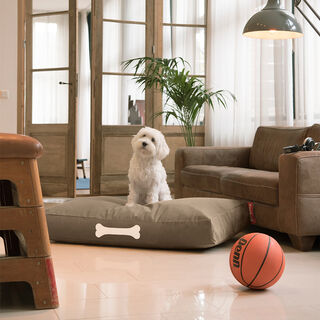 Doggielounge L Canvas Taupe Grey