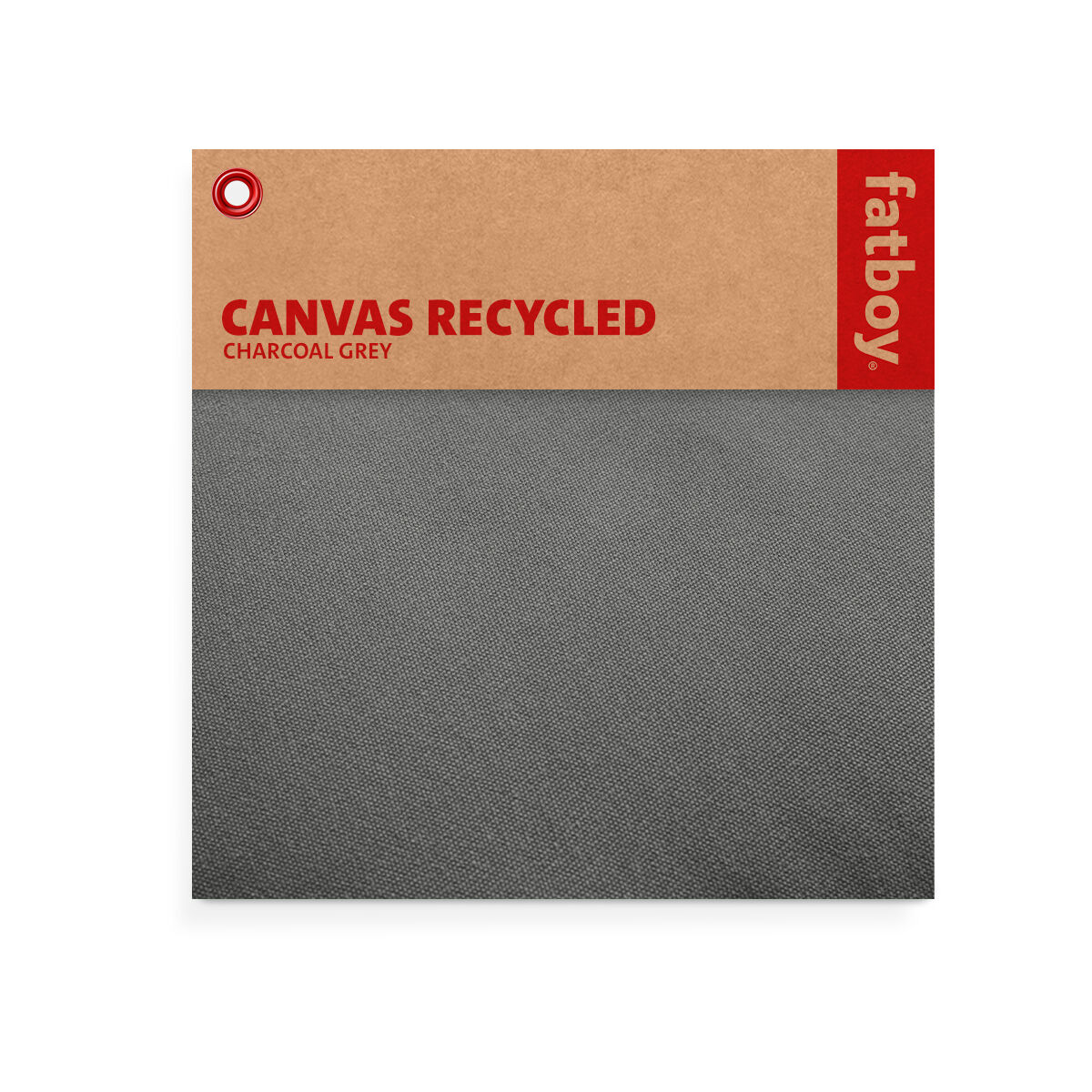 Color Swatch - Canvas