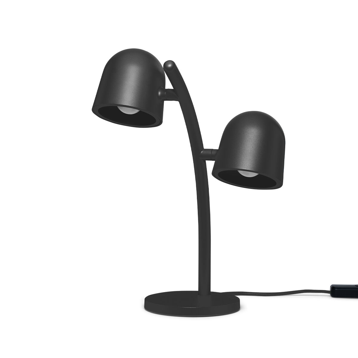 Little Lebow Anthracite