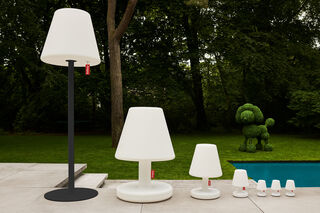 Edison the Giant Anthracite