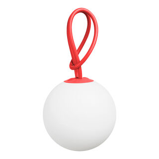Bolleke