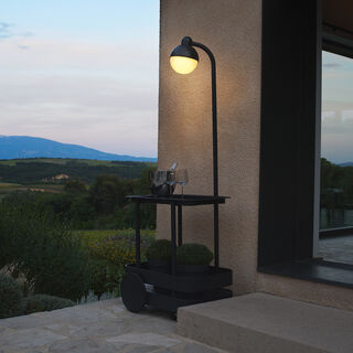 Jolly Trolley Anthracite