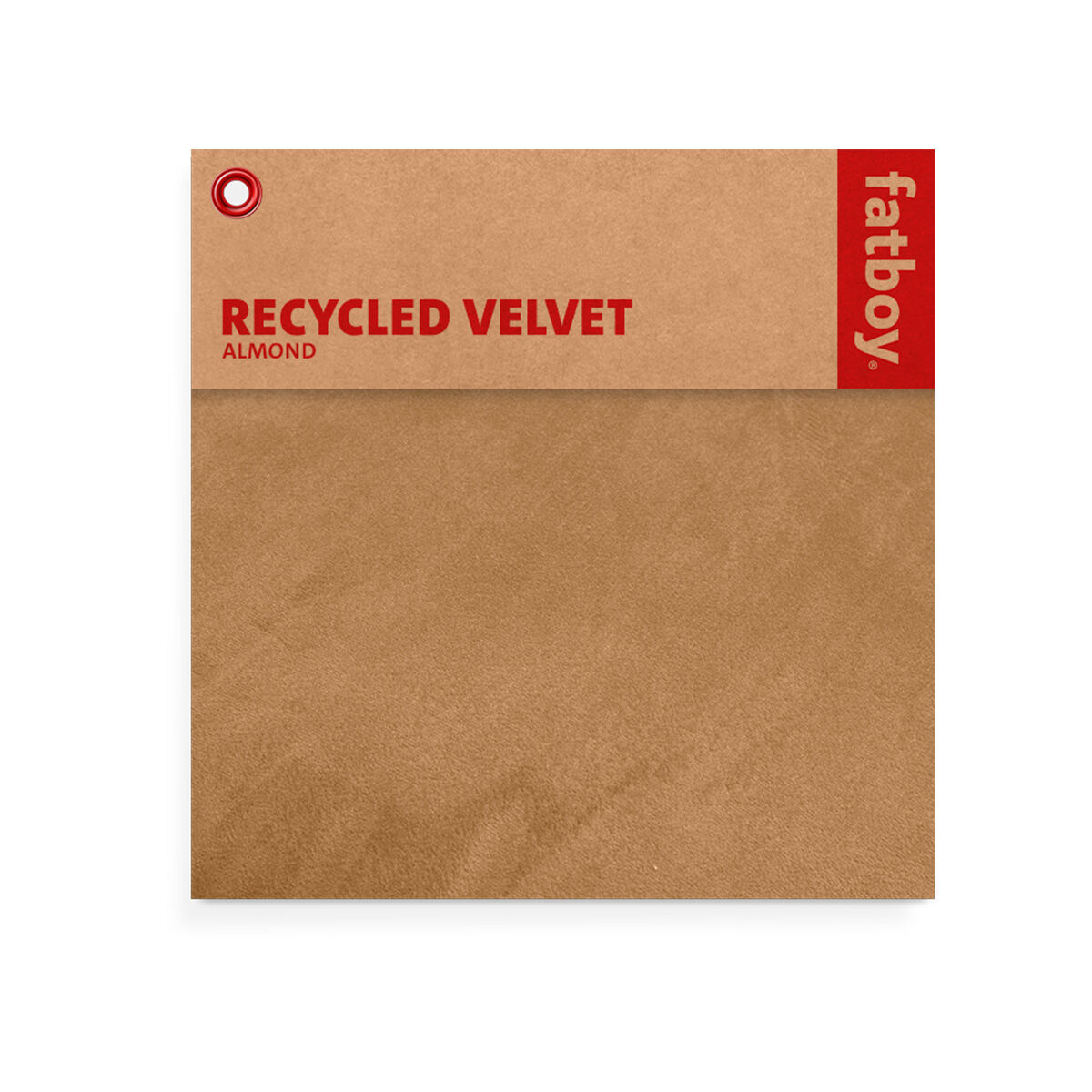 Velvet Color Swatch Almond