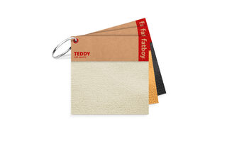 Teddy Color Swatch Collection