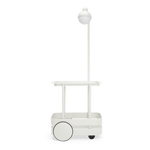 Jolly Trolley Bone