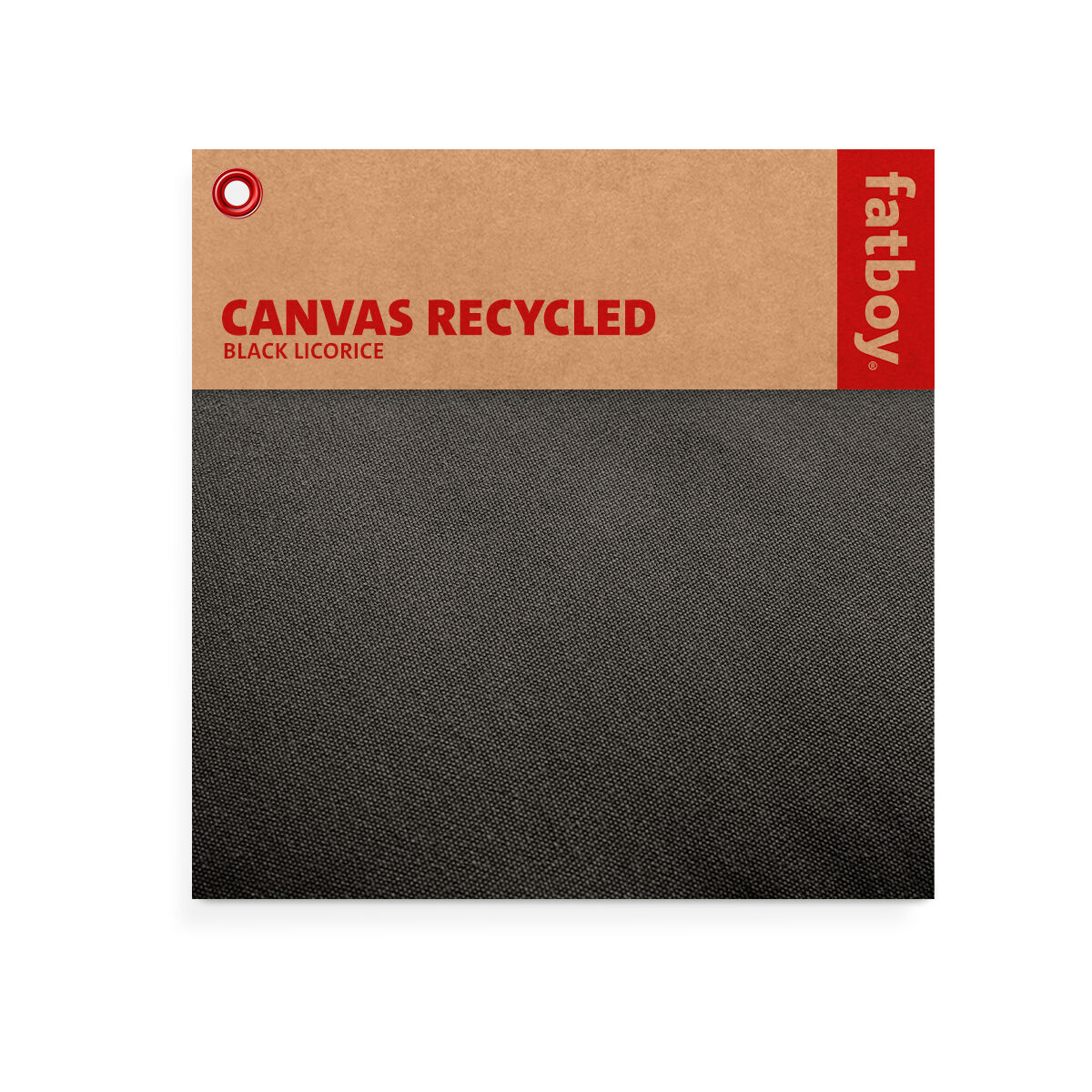 Color Swatch - Canvas