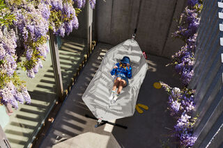 Headdemock Superb Mist