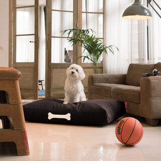 Doggielounge L Canvas Recycled