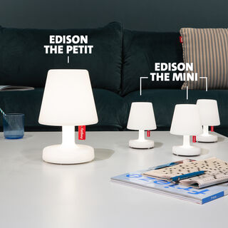 Edison the Mini