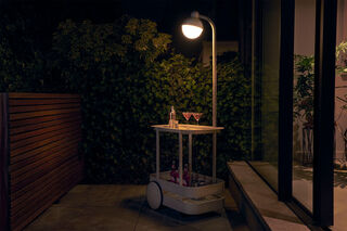 Jolly Trolley Dark Sage