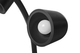 Little Lebow Anthracite