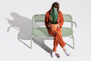 Toní Bankski Mist Green