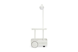 Jolly Trolley Bone