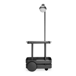 Jolly Trolley