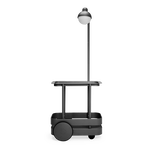 Jolly Trolley