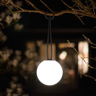 Bolleke Anthracite