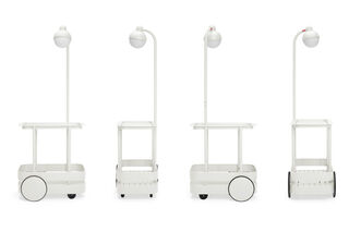 Jolly Trolley Bone